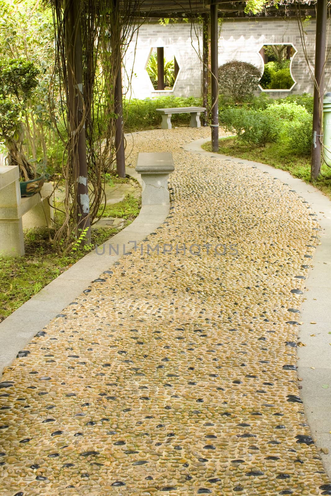 Stone walkway winding in garden 