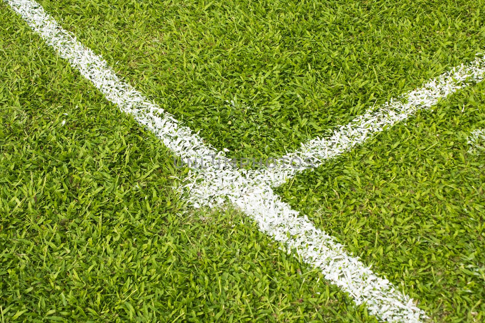 football field with green grass and white line