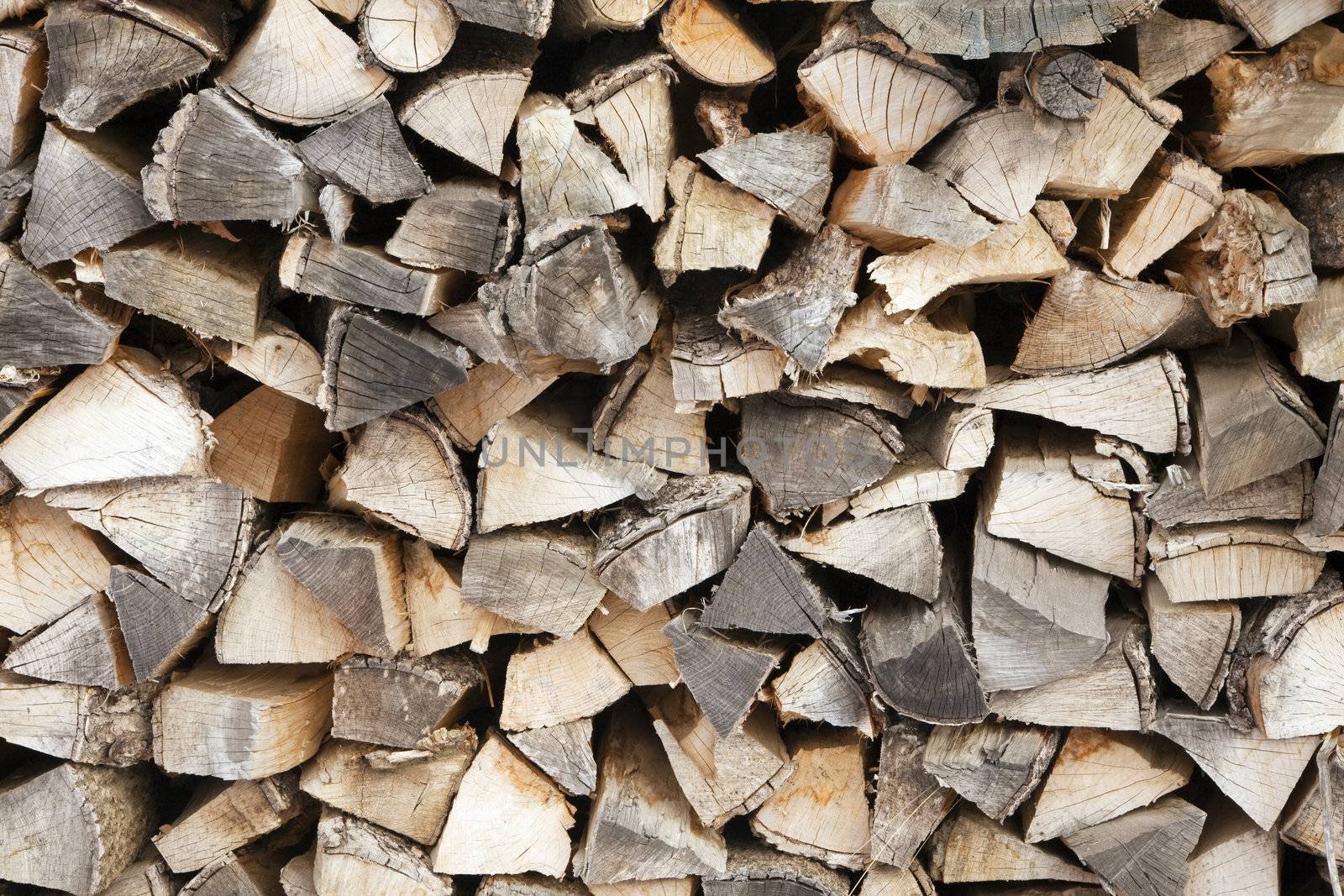 woodpile by diego_cervo