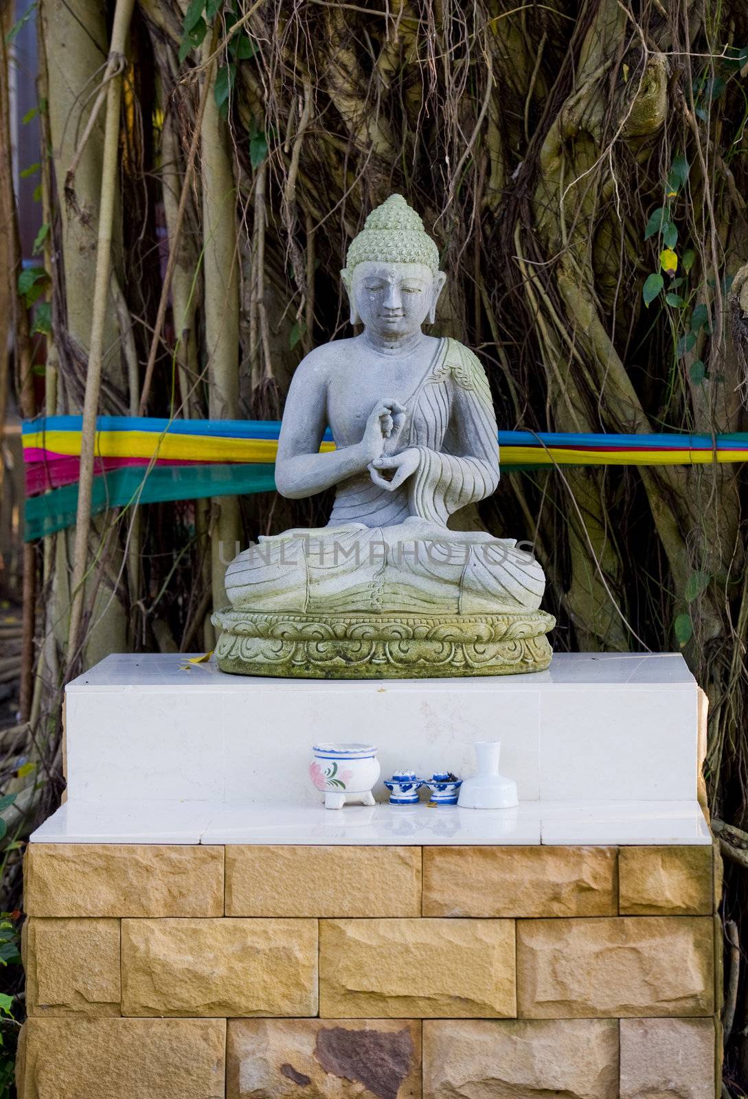 a buddha statue made of stone placed in front of the roots of a tree