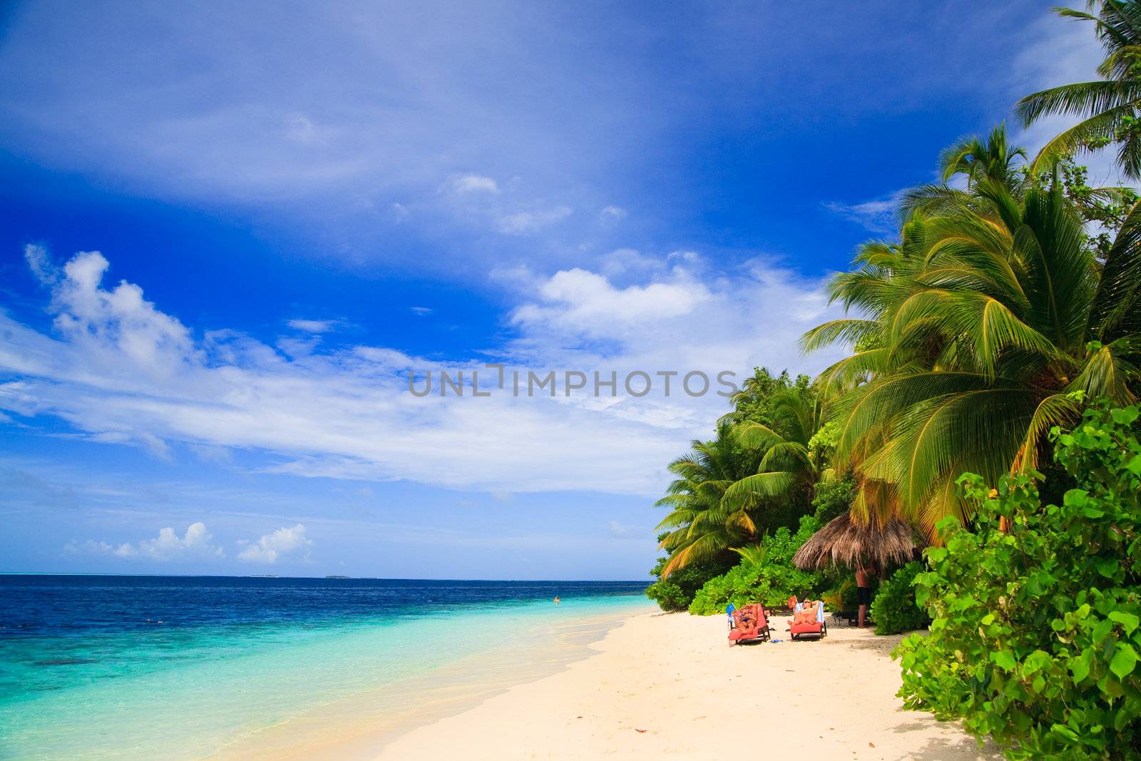 Tropical Paradise at Maldives with palms and blue sky