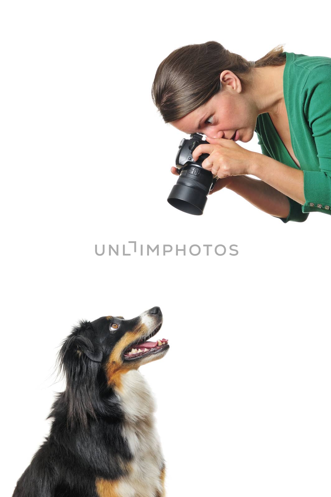 A young woman taking photographs of a willing dog, isolated on white. Space for text.