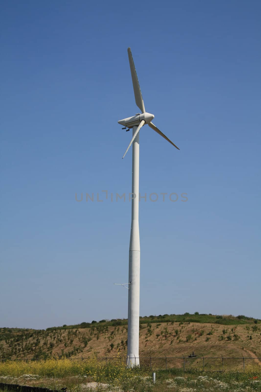 wind turbine in a clear blue sky by studioportosabbia