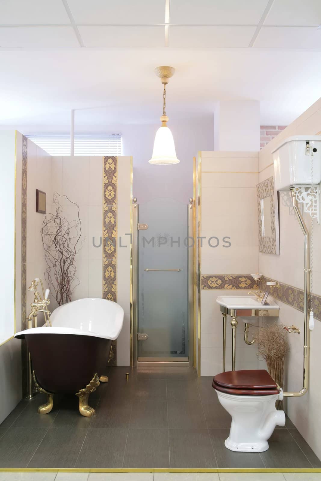 interior luxurious bathroom with glass door and bowl