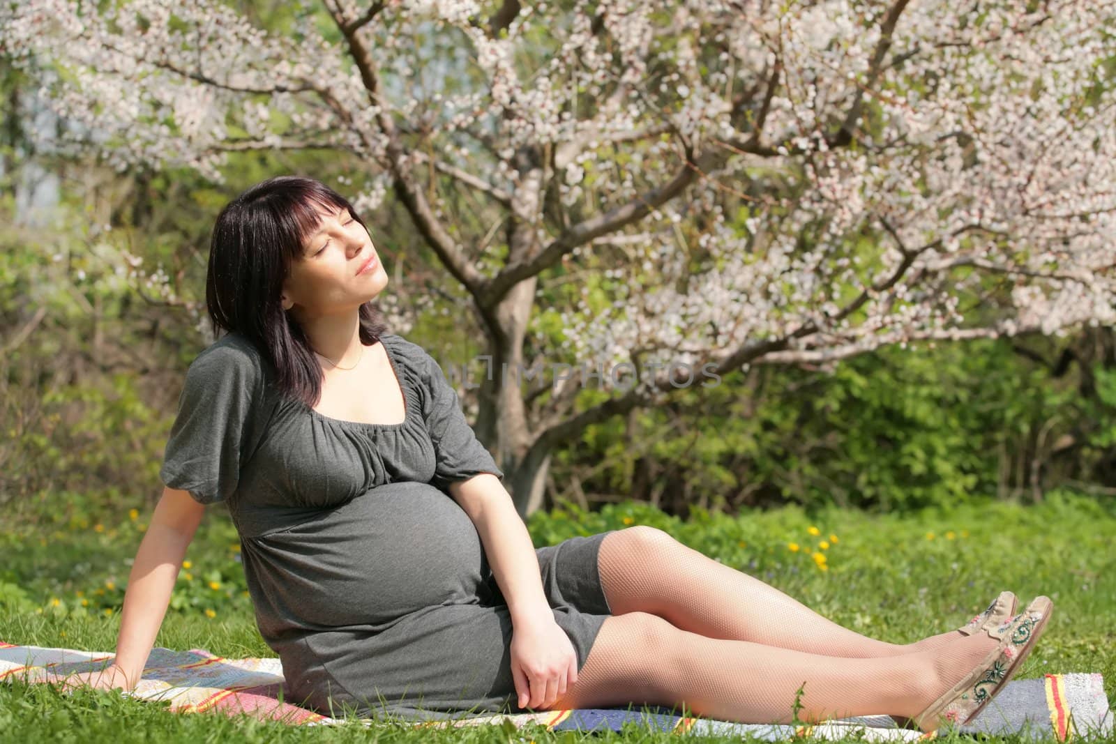 expectant mother in blossom apple garden, solar springtime