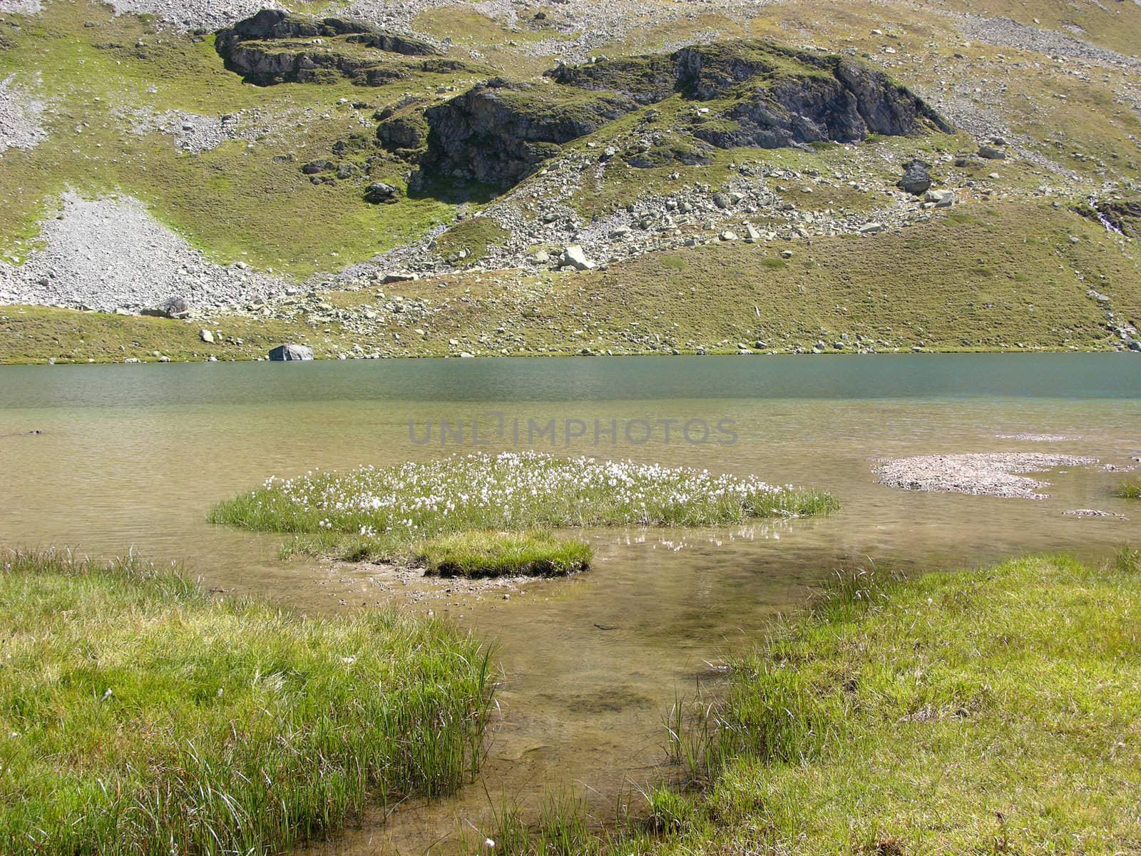 Small lake at Julier pass in Switzerland