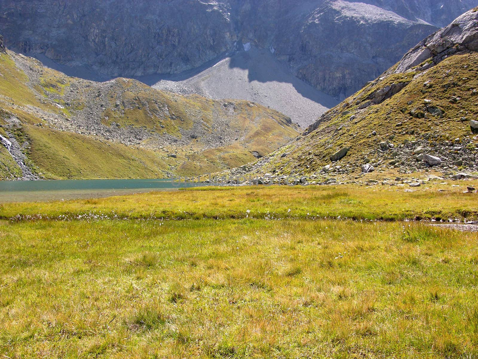 Small lake at Julier pass in Switzerland
