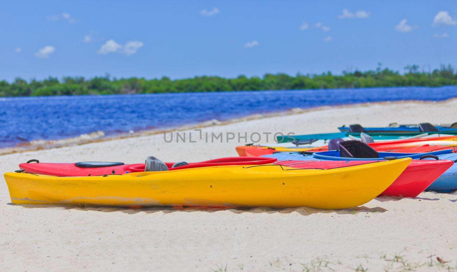 Colorful Kayak's on a sandy beach with blue water and green mangroves