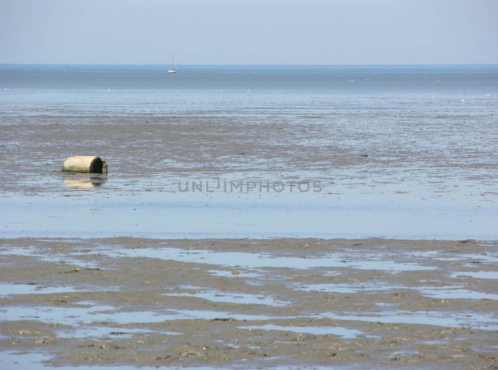 Mudflat at North Sea coast
