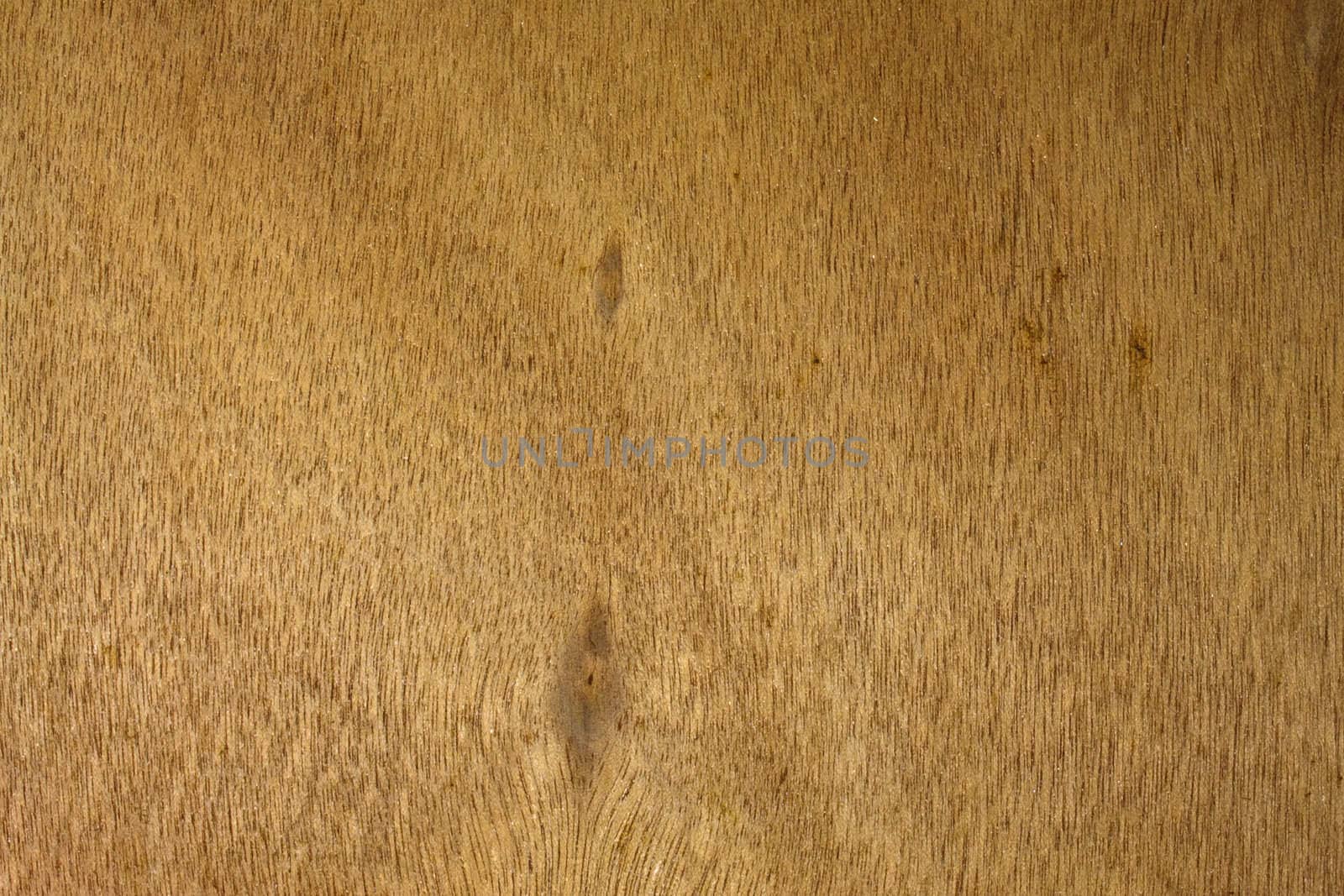 Rough texture of wood