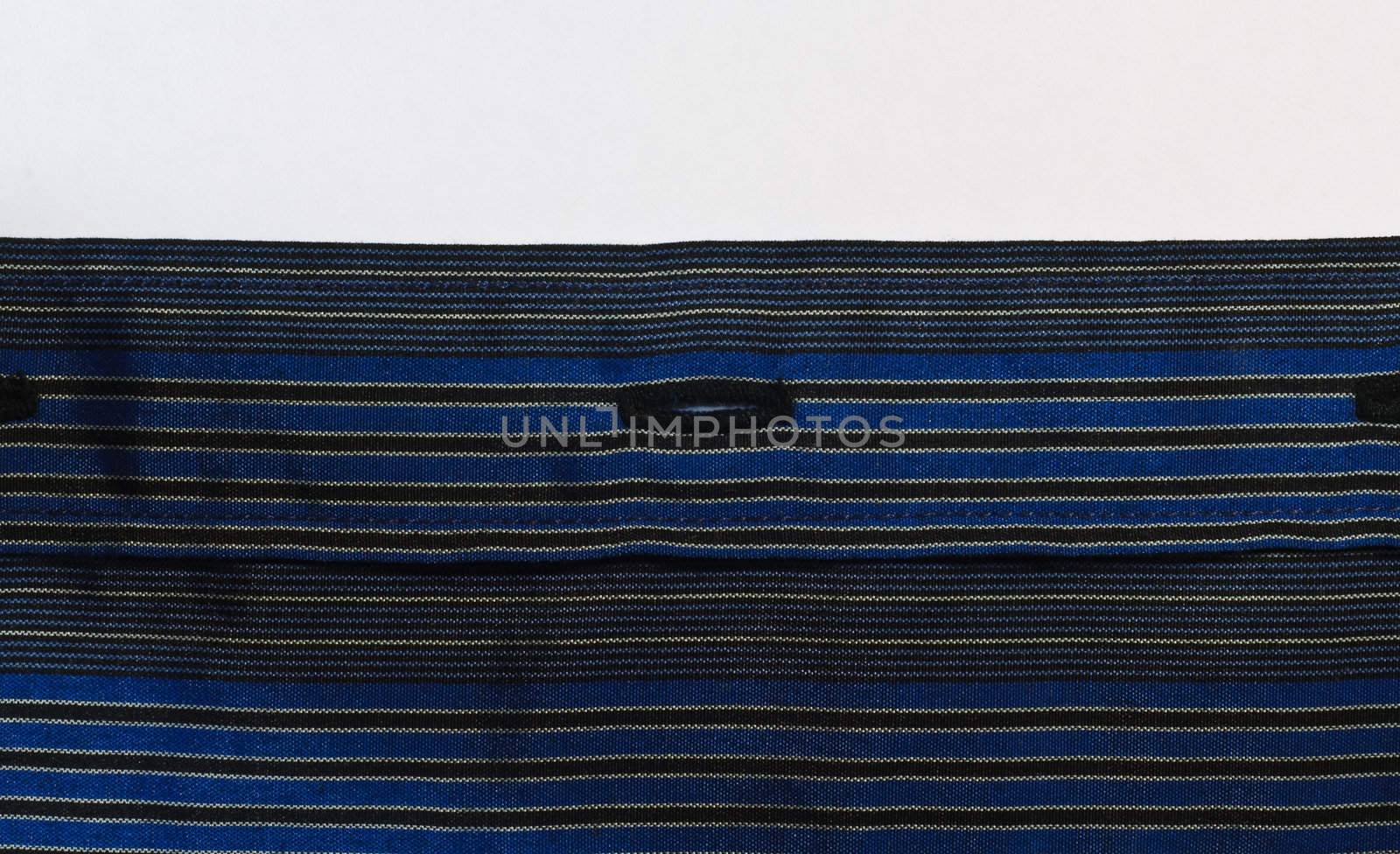 Blue Striped fabric buttonhole