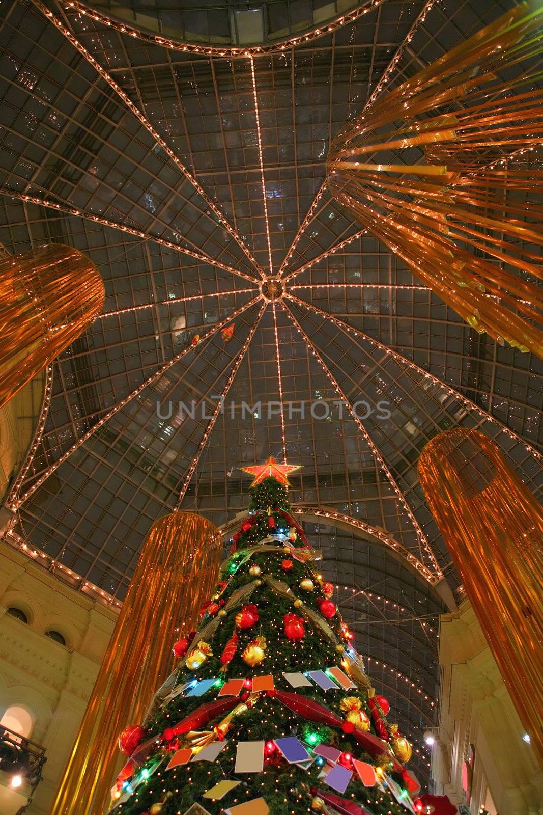 christmas tree under dome, noel fir, glitter pine