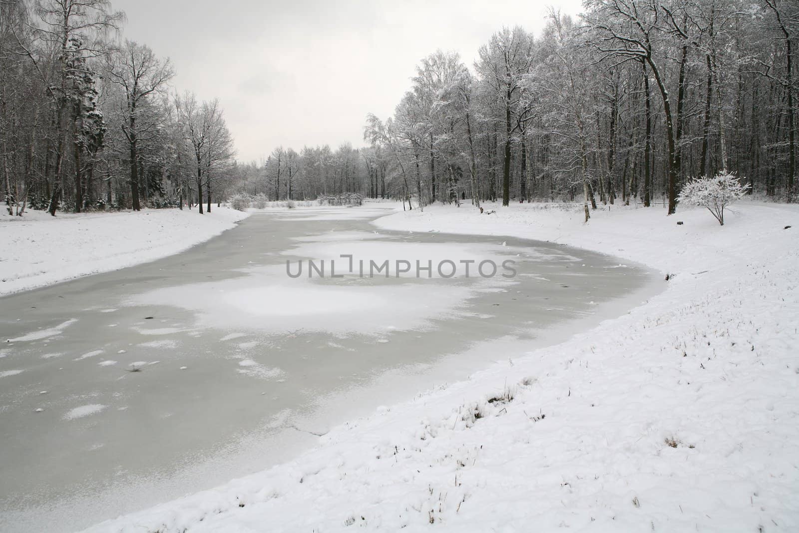 the warm winter day in park