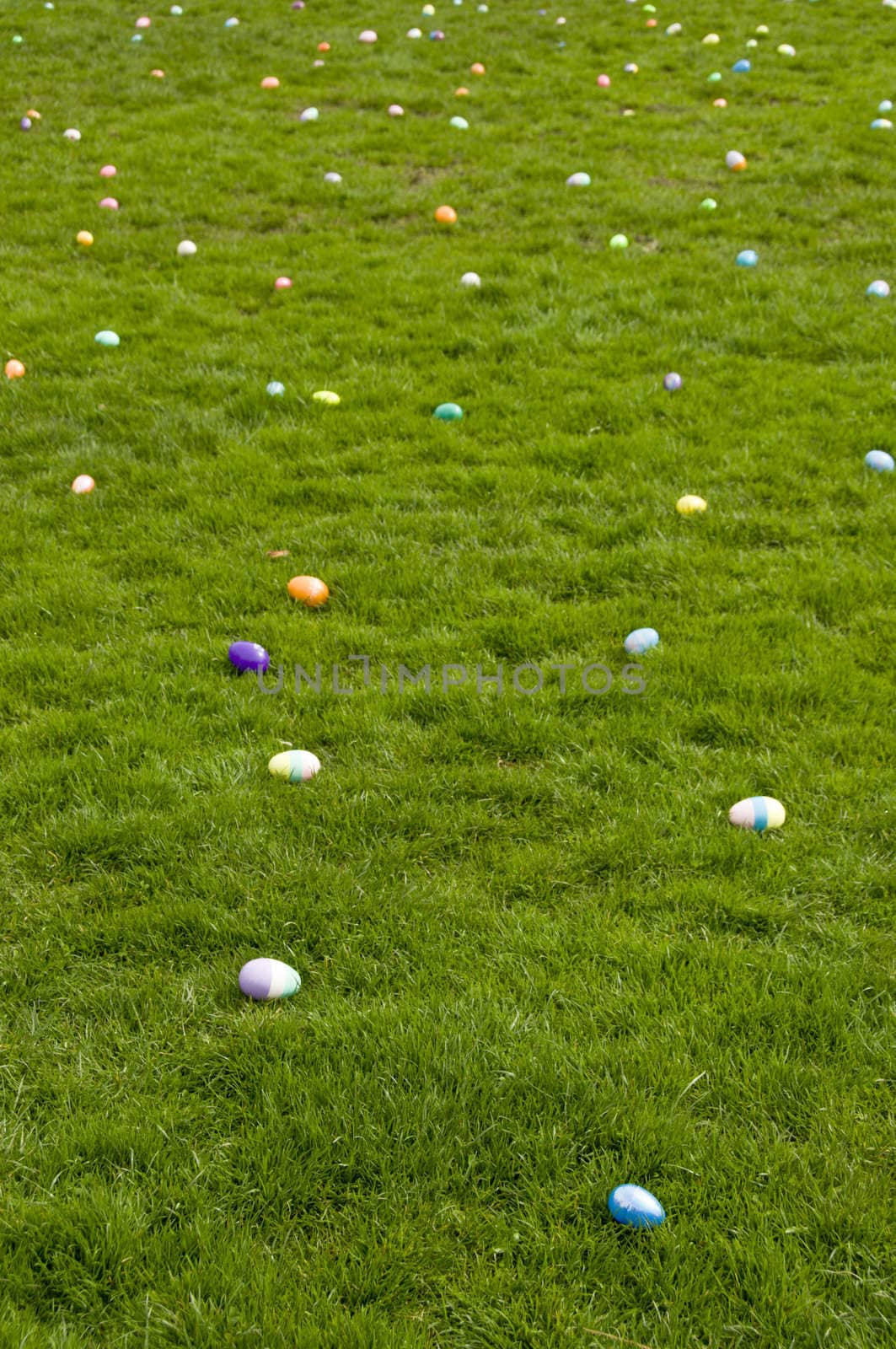 Easter eggs on lawn