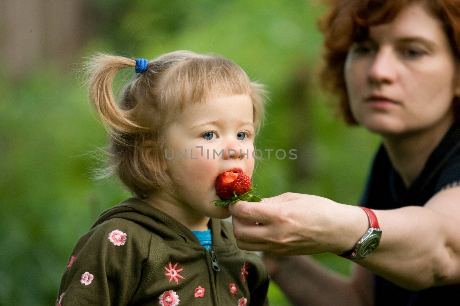 people series: little girl eat ripe strawberries