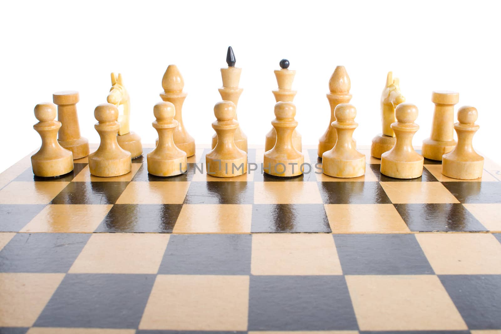 white chess pieces in start position by Alekcey