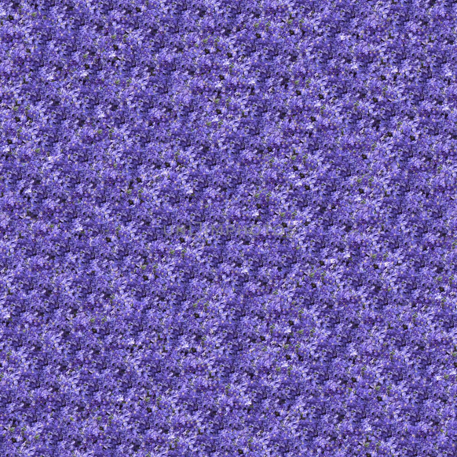 Seamless pattern made of clematis flowers. It's composable like tiles without visible connecting line between parts