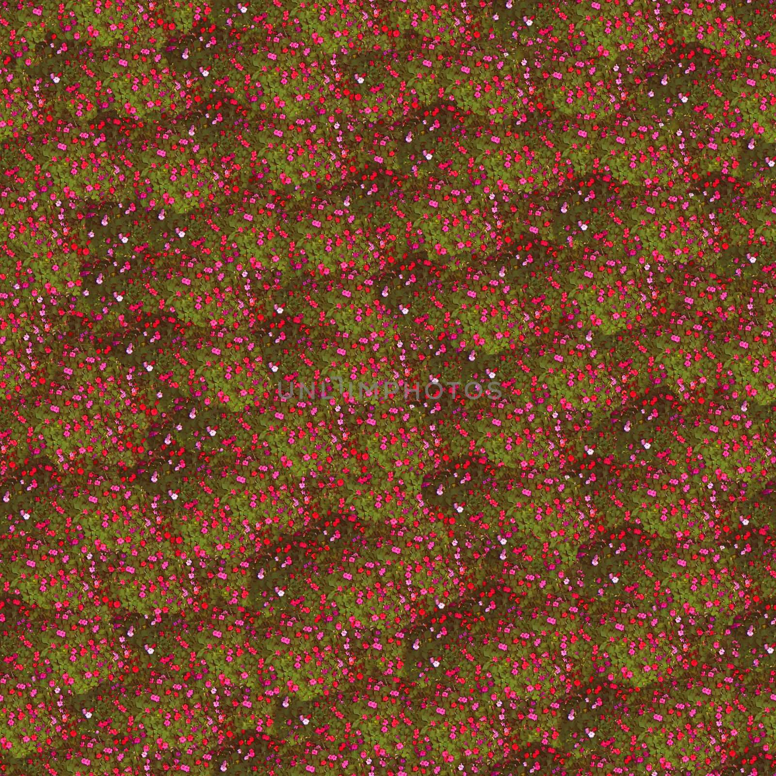 Seamless pattern made of impatiens flowers. It's composable like tiles without visible connecting line between parts