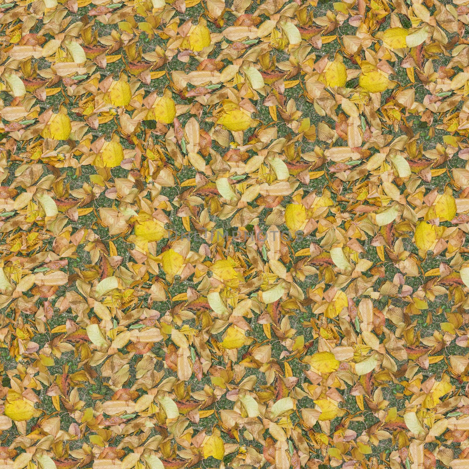 Seamless pattern made of dry leaves. It's composable like tiles without visible connecting line between parts
