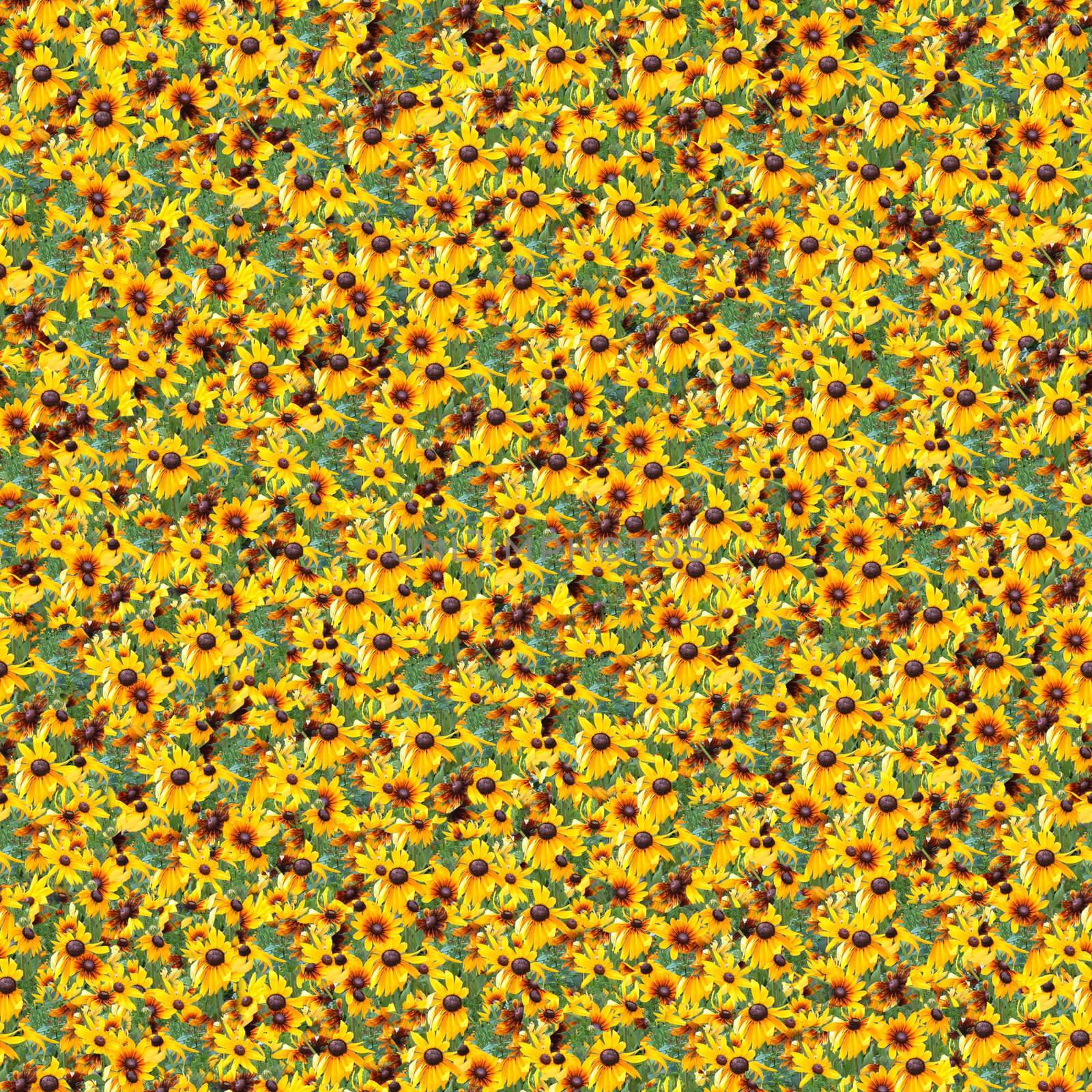 Rudbeckia seamless composable pattern by whitechild