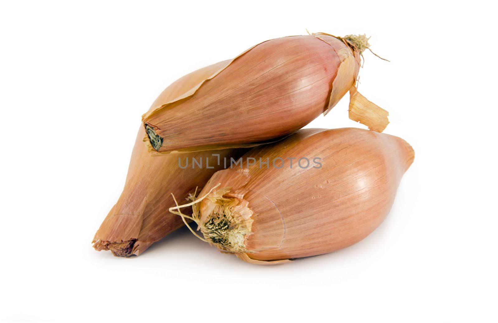 Shallots isolated on a white background
