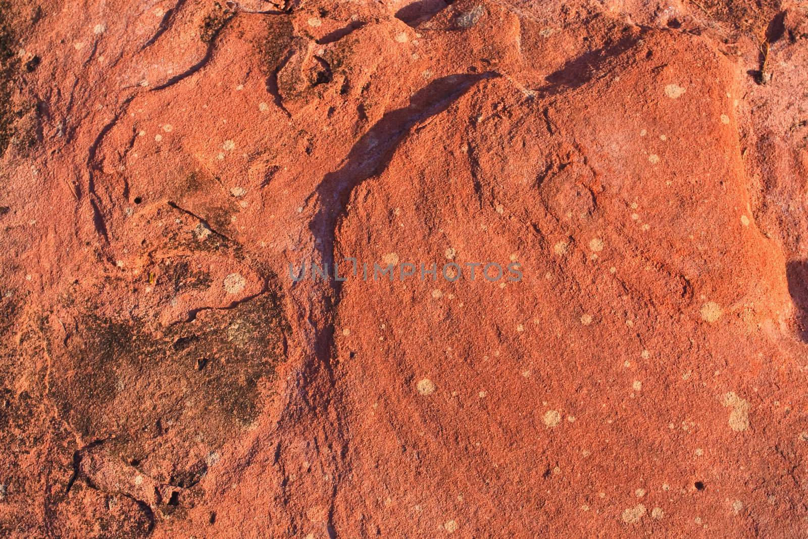 Brown rock texture