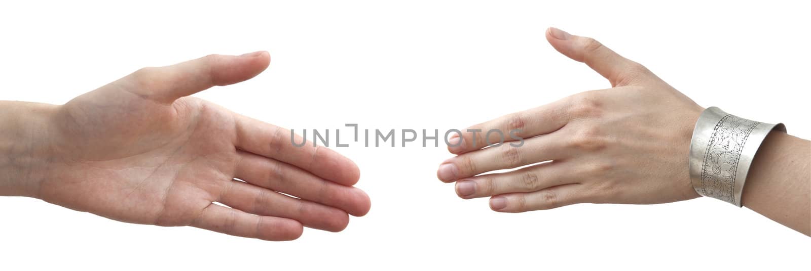 Human hands on the white background