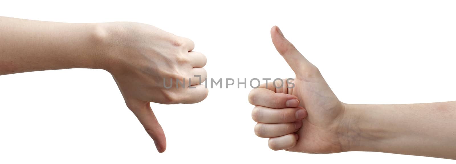 Human hands on the white background