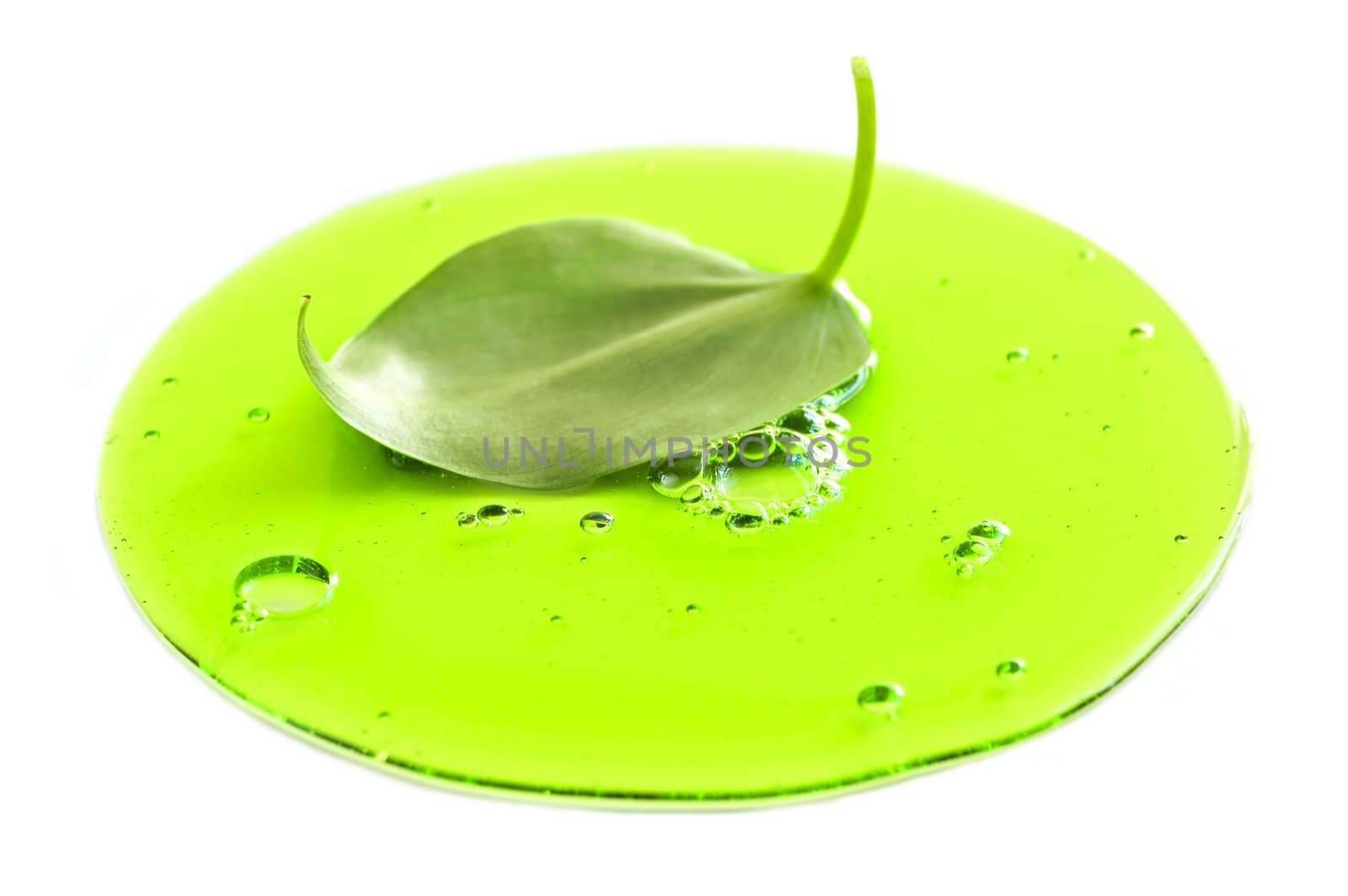 Abstract image of a plant leaf in a puddle of green liquid