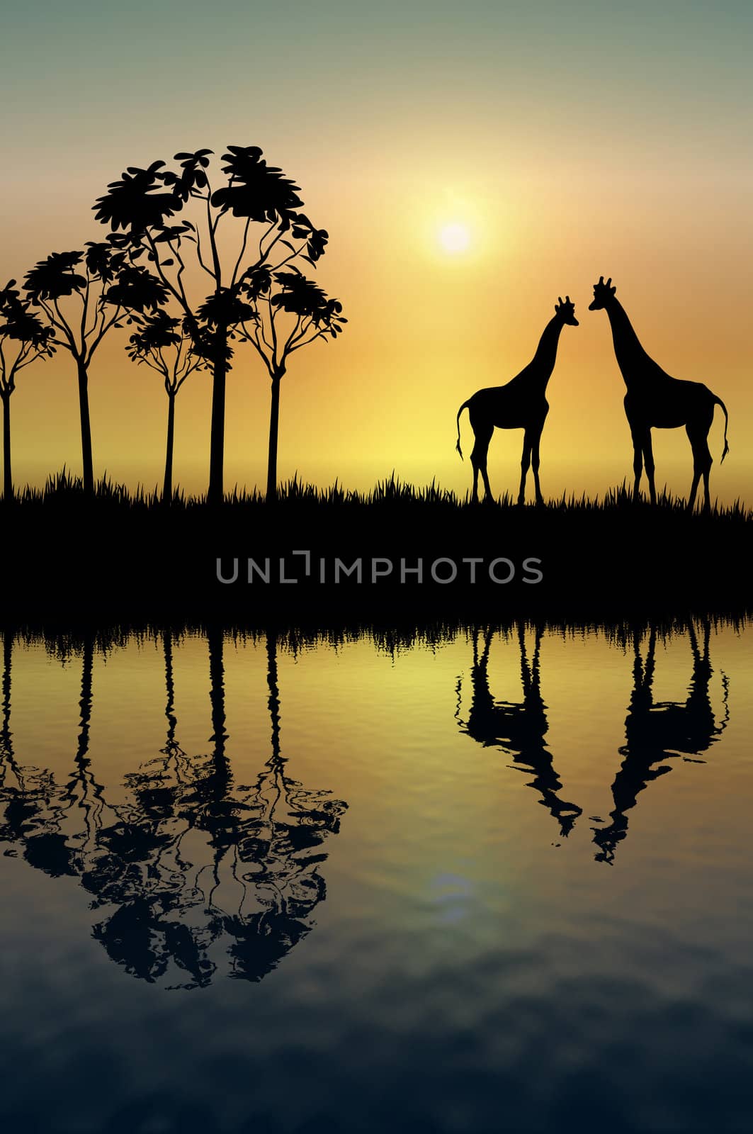 silhouette of two giraffes on grassy plain at sunrise

