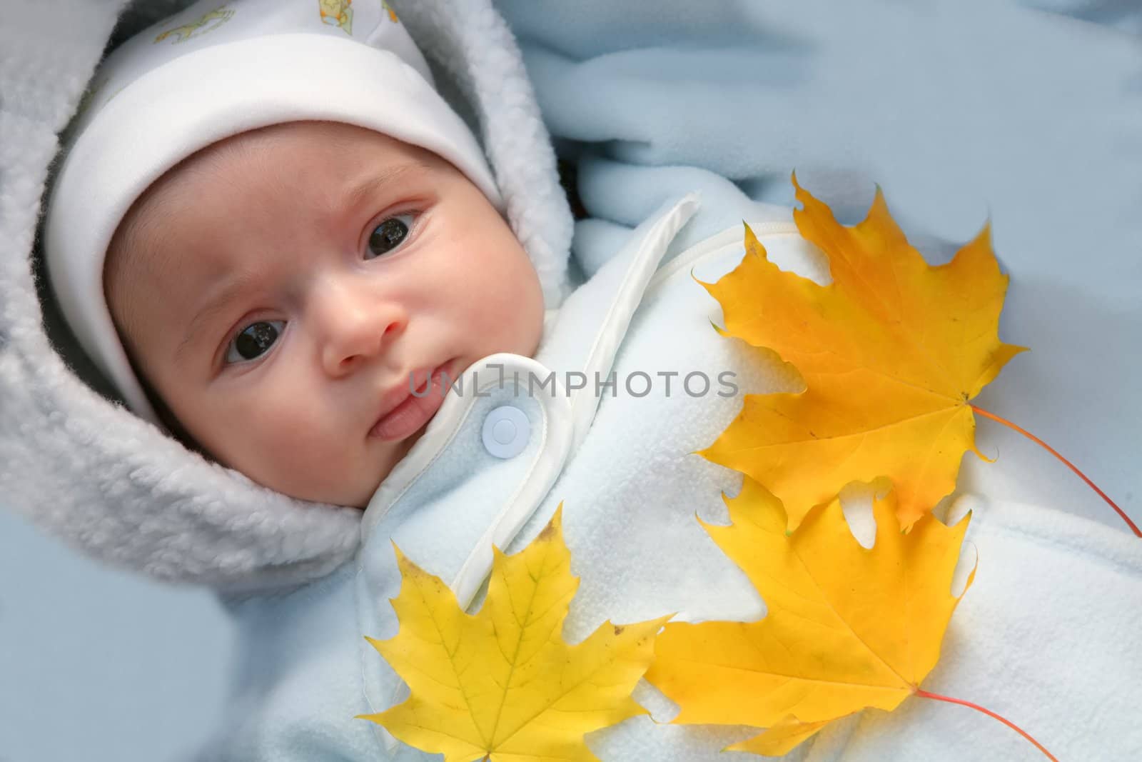 First autumn in life of my small son. Baby and autumn yellow maple leaf