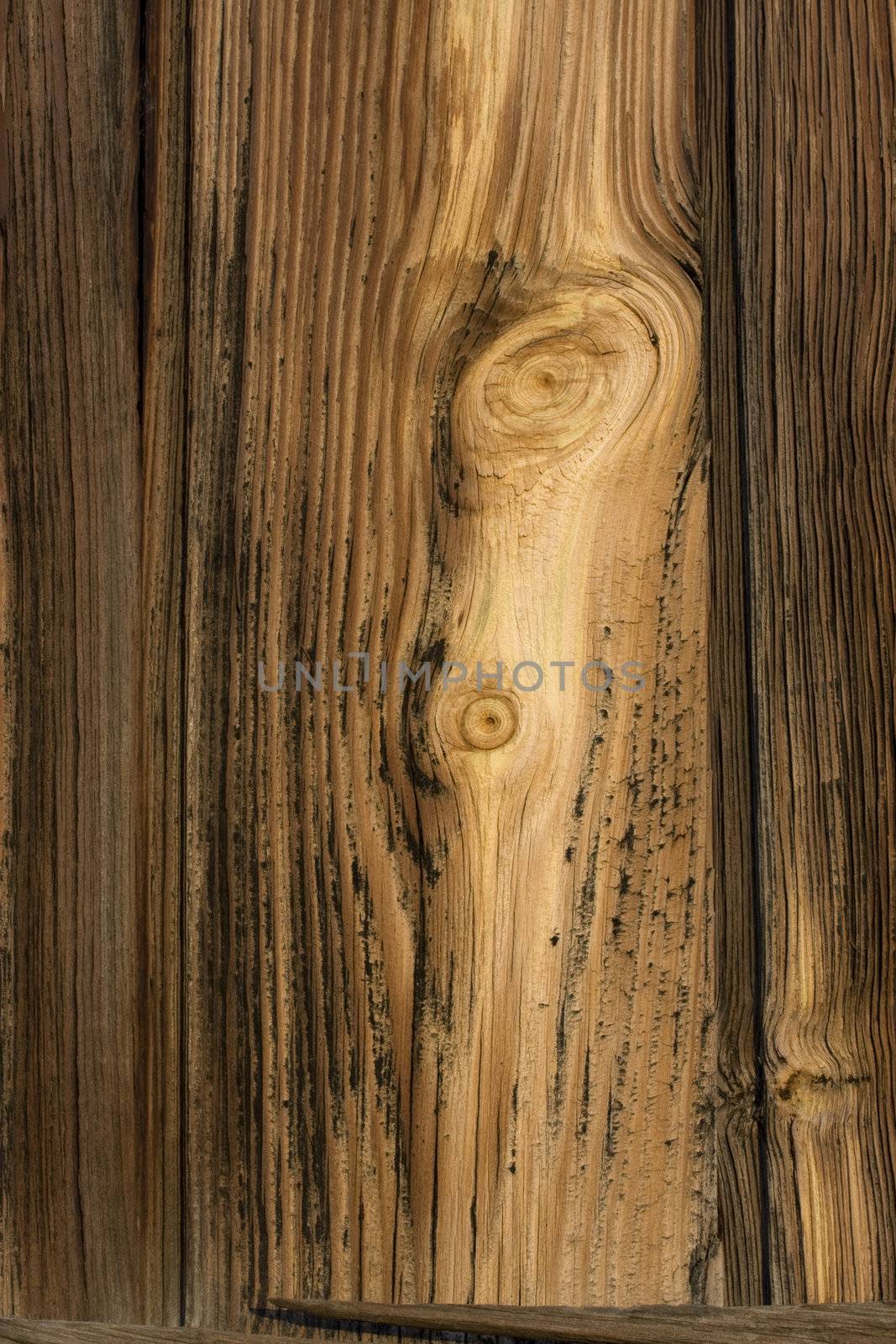 old barn weathered wood background with strong grain pattern and knots