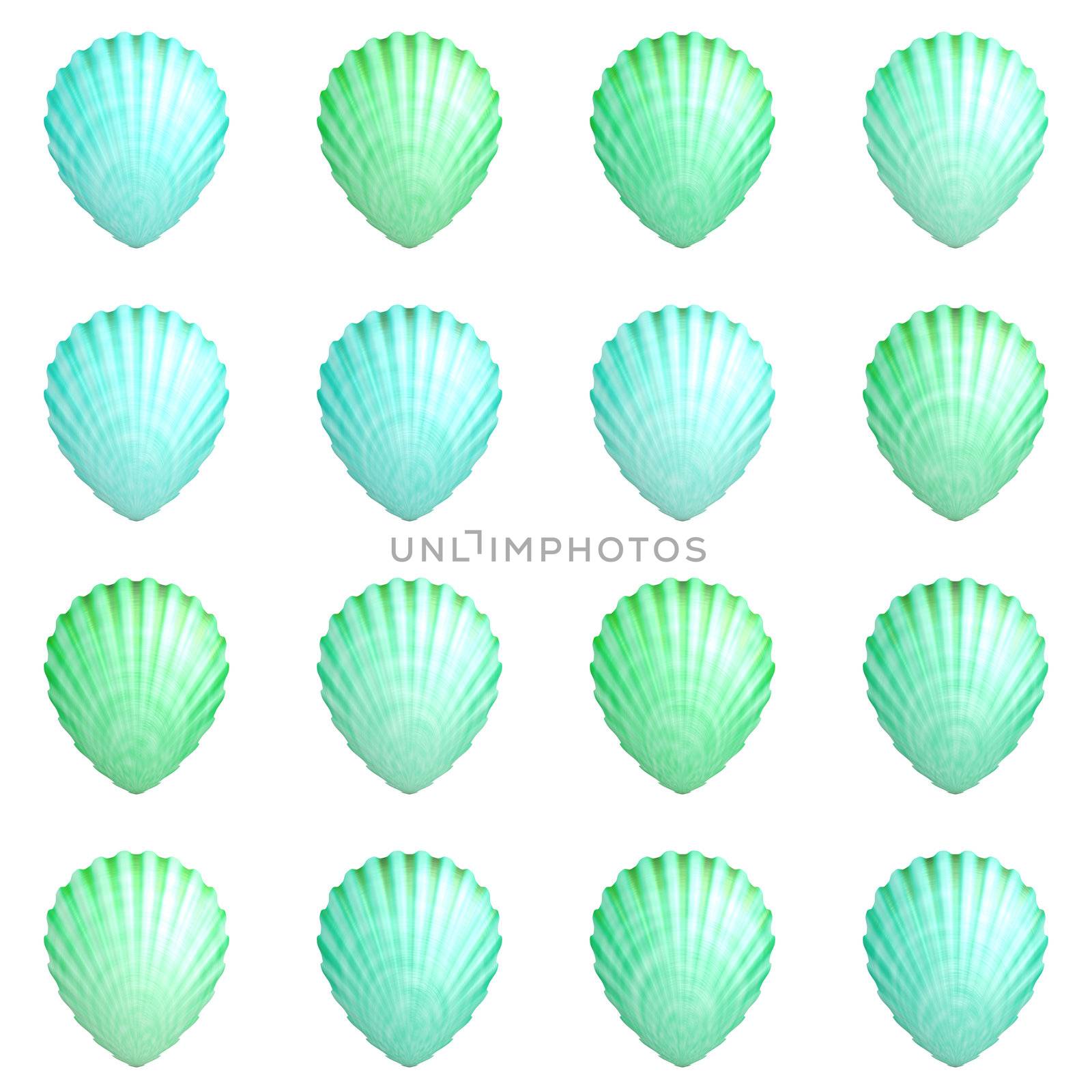 Seashell Background with a Aquatic Theme Art