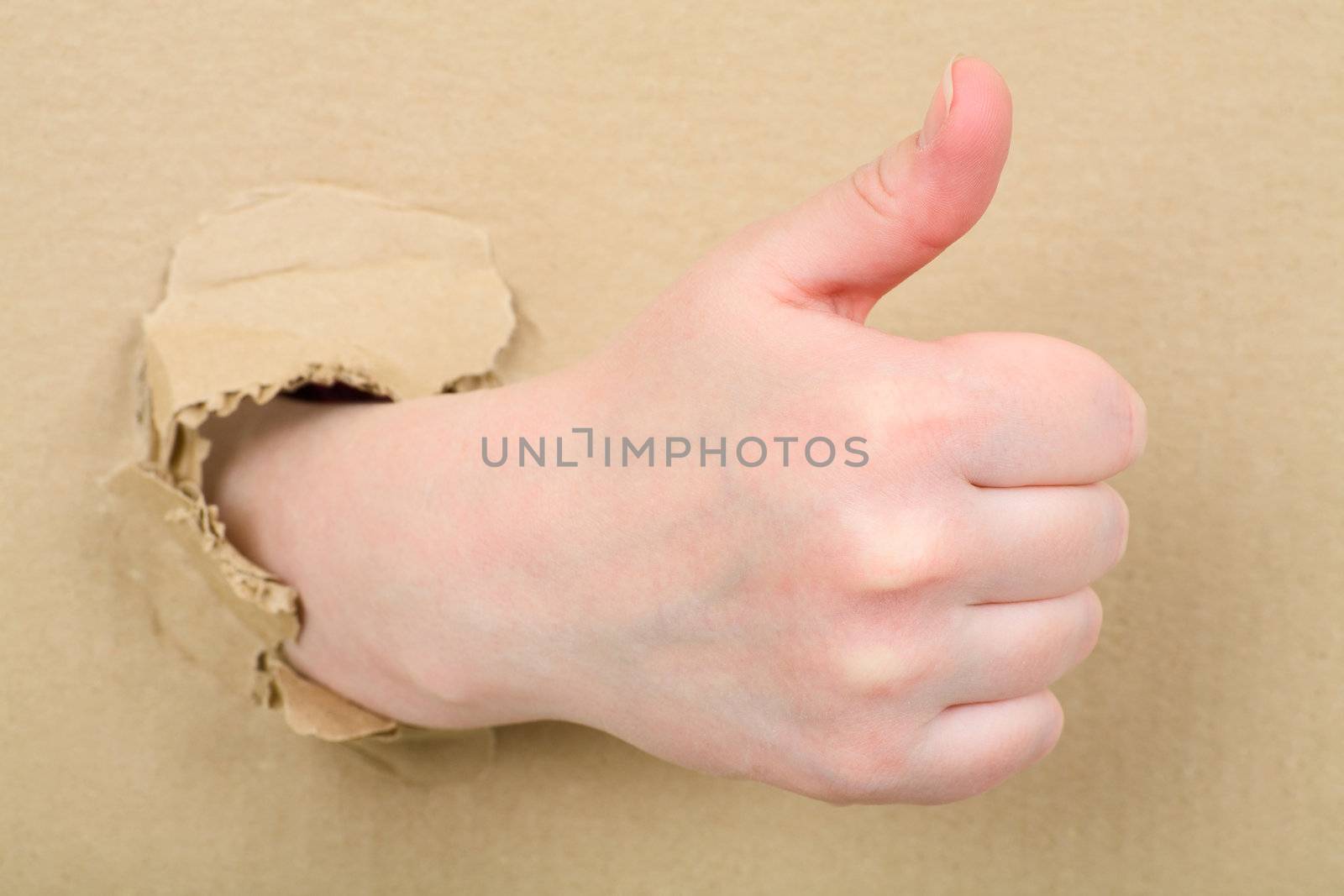 The female hand on cardboard  background (thumb up)