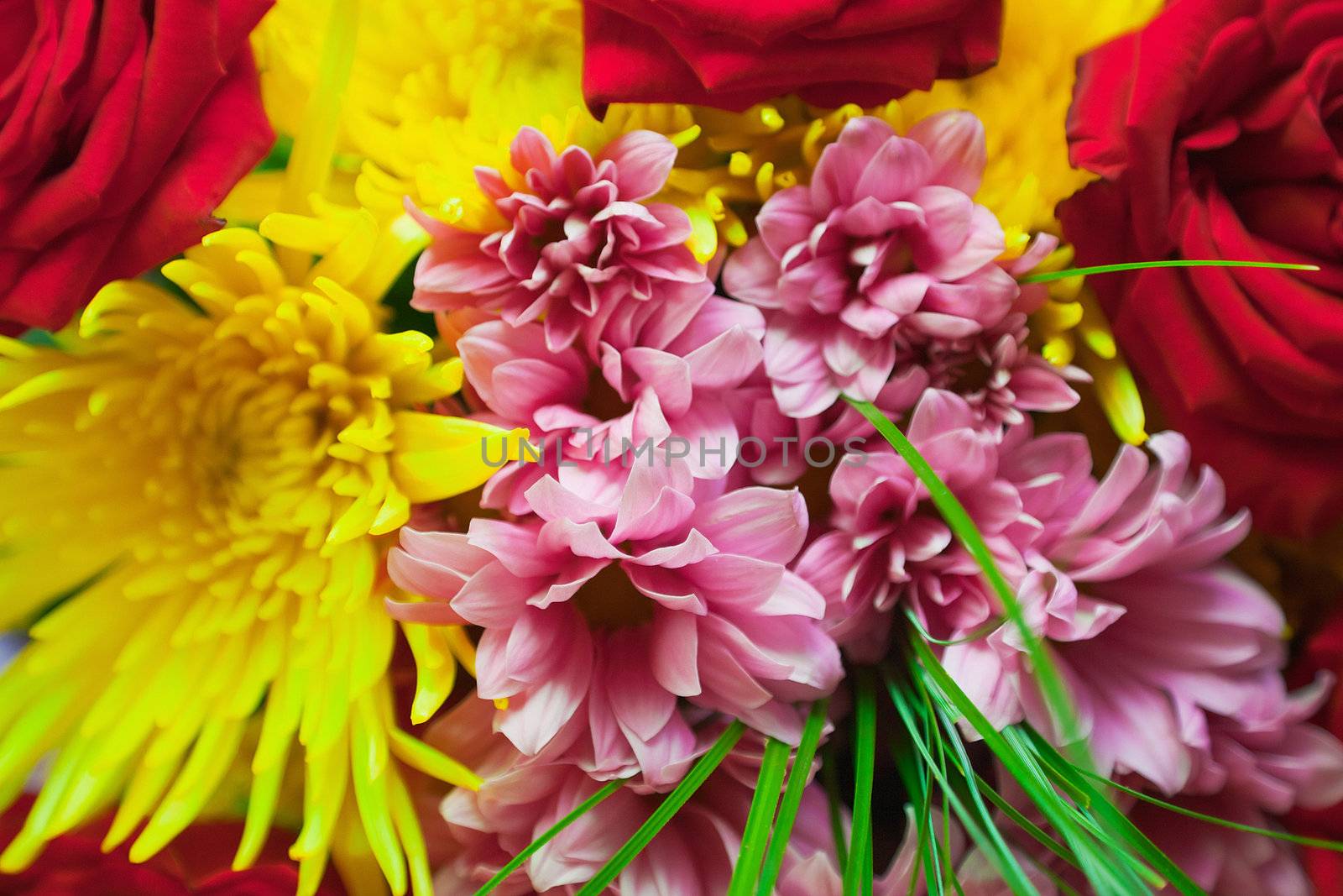 A bouquet of roses and other flowers - color background
