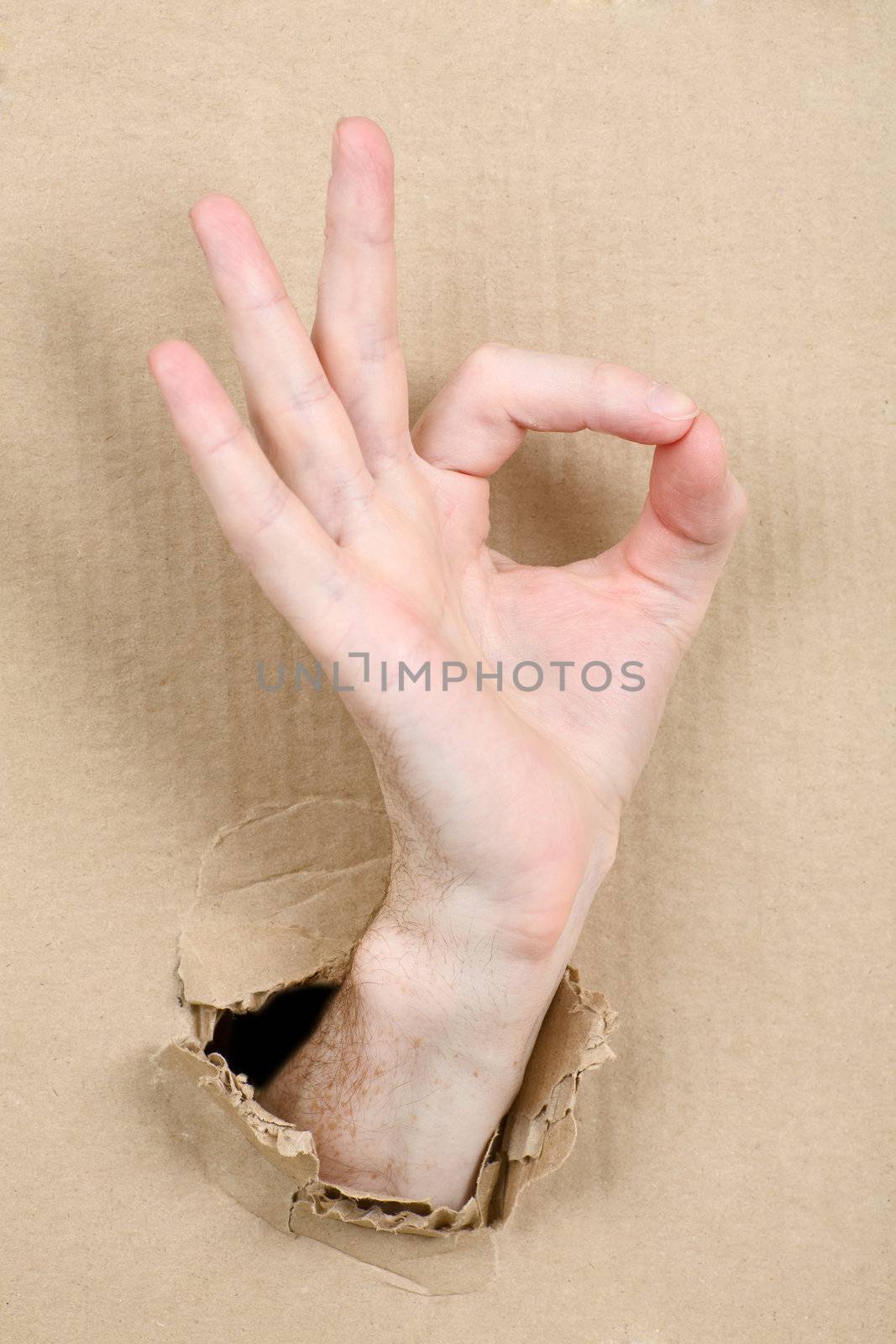 Gesture male hand through from hole in cardboard