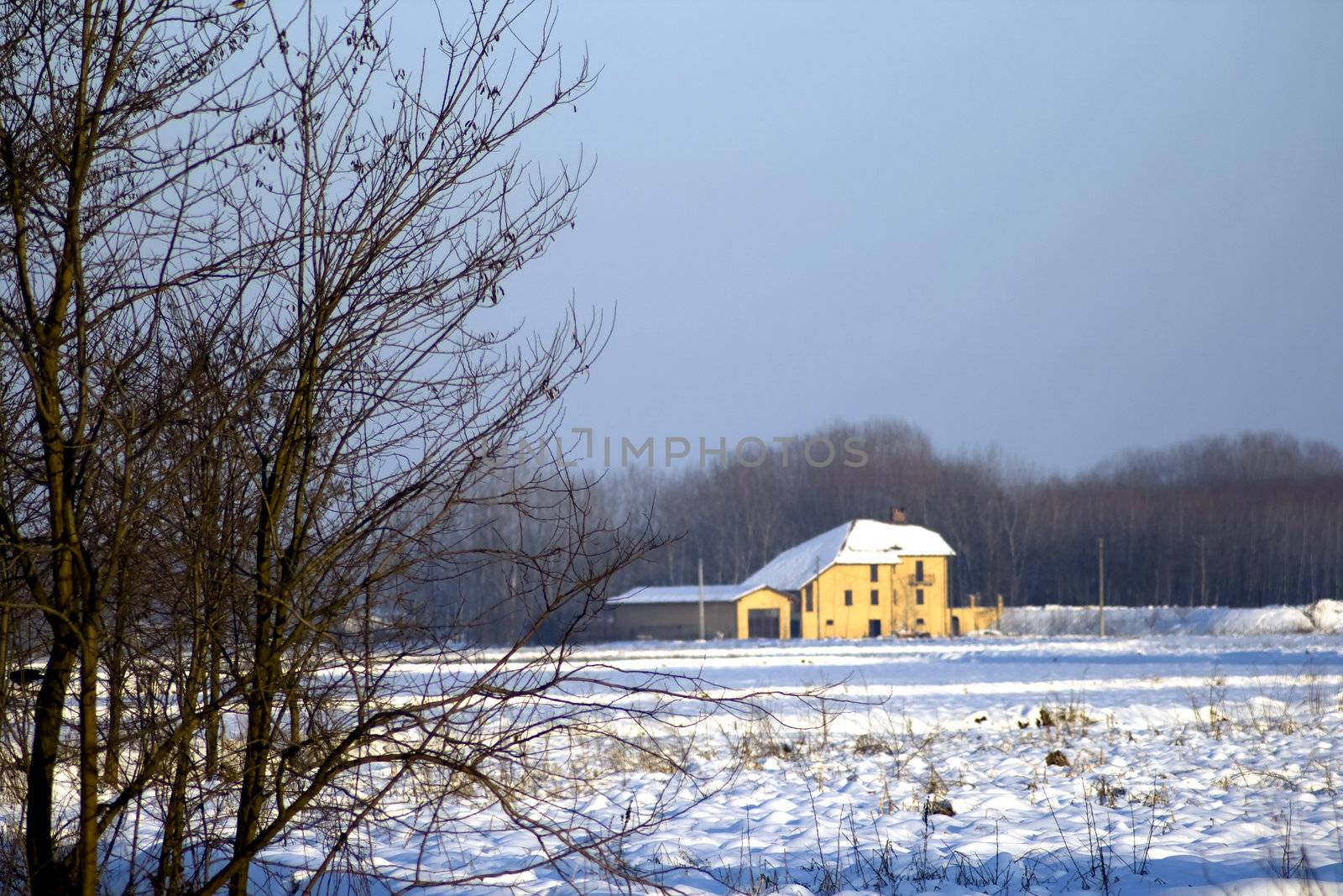 A distant house in a winter landscape