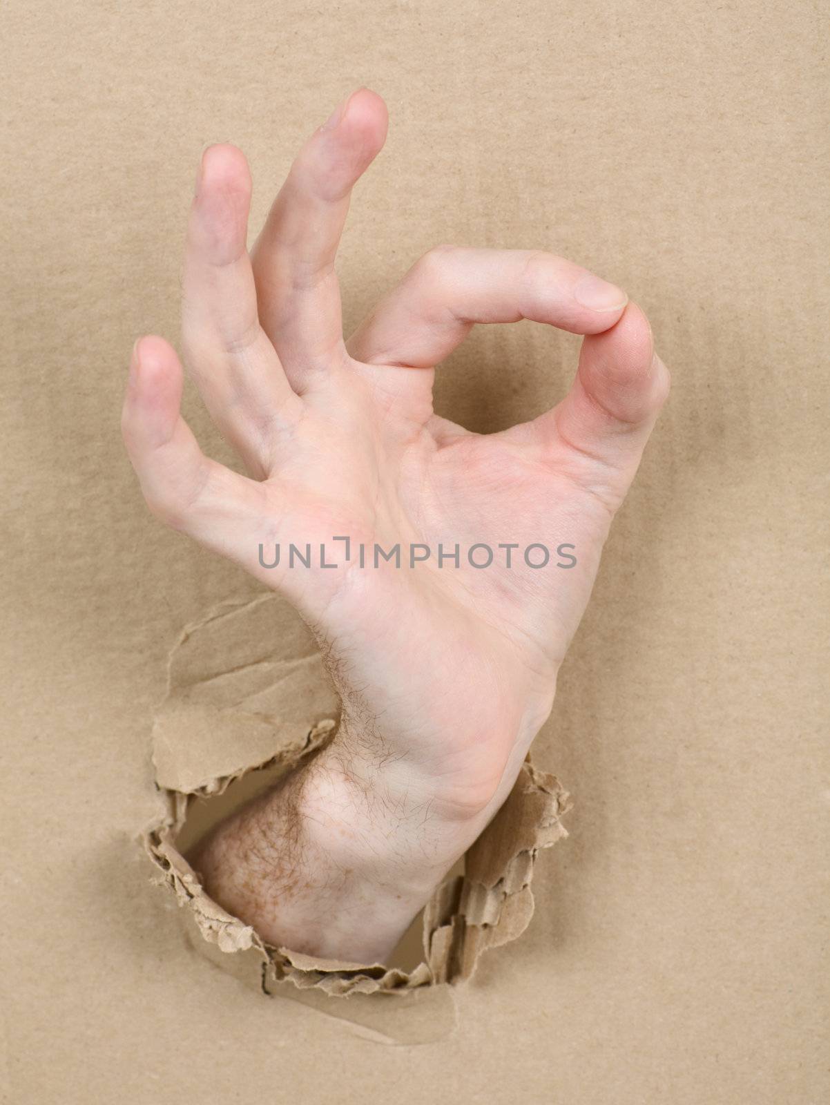 Gesture male hand through from hole in cardboard