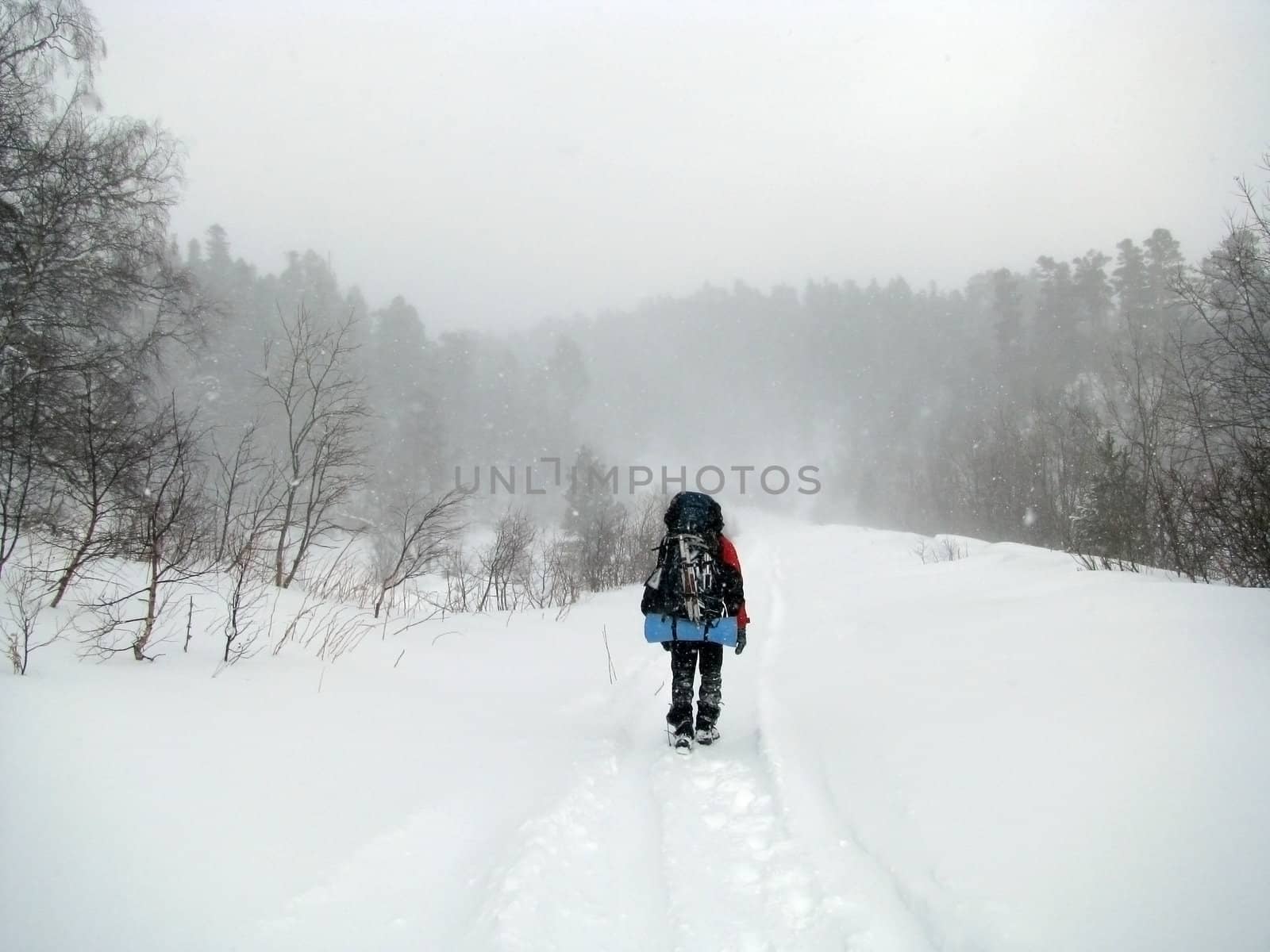 Winter, march, snow, tourist, expedition, snowstorm, extreme, blizzard, is bored, wood,active rest, rucksack, route, bad weather, nature, man, journey