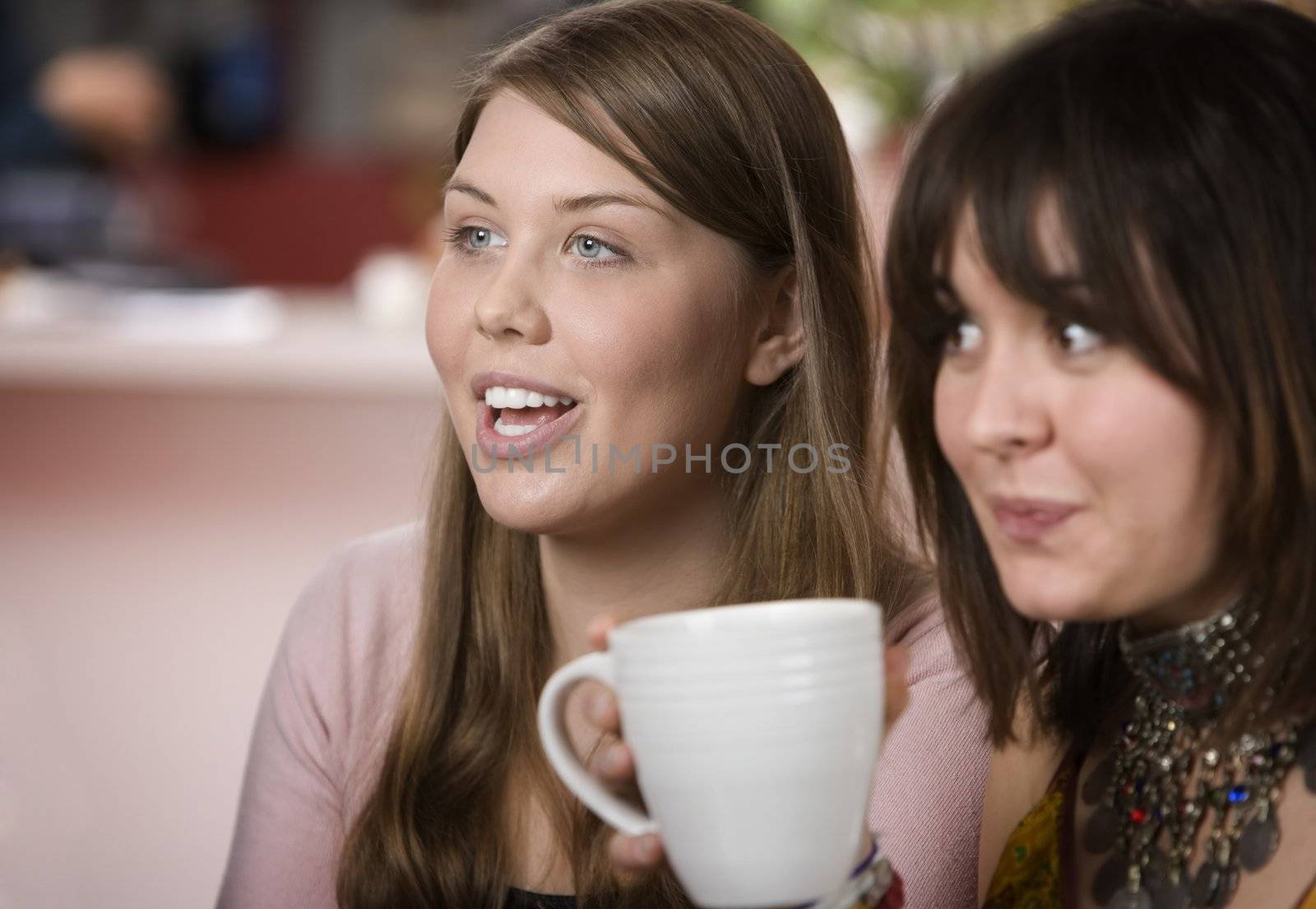 Two pretty young women in a coffee house