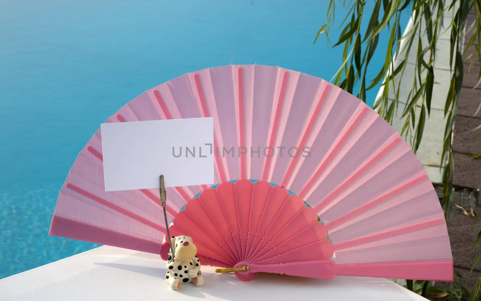 Fan colored ticket in a private house and pool