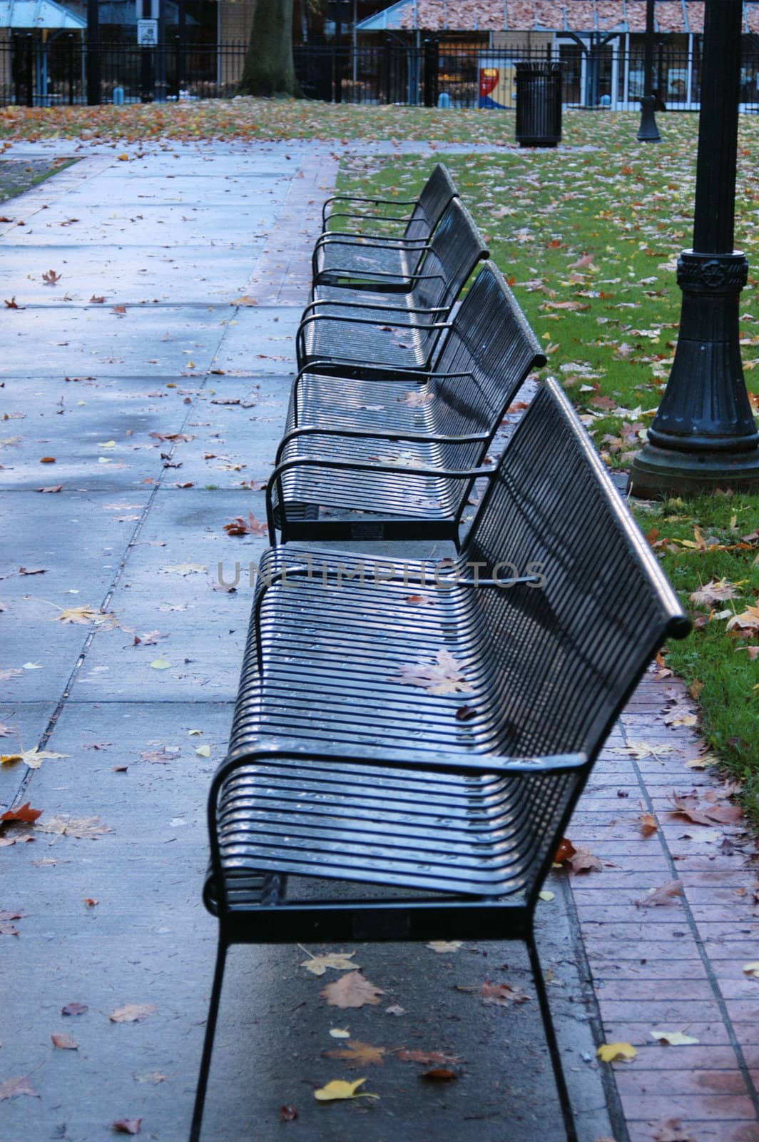 Park bench seats in Portland oregon