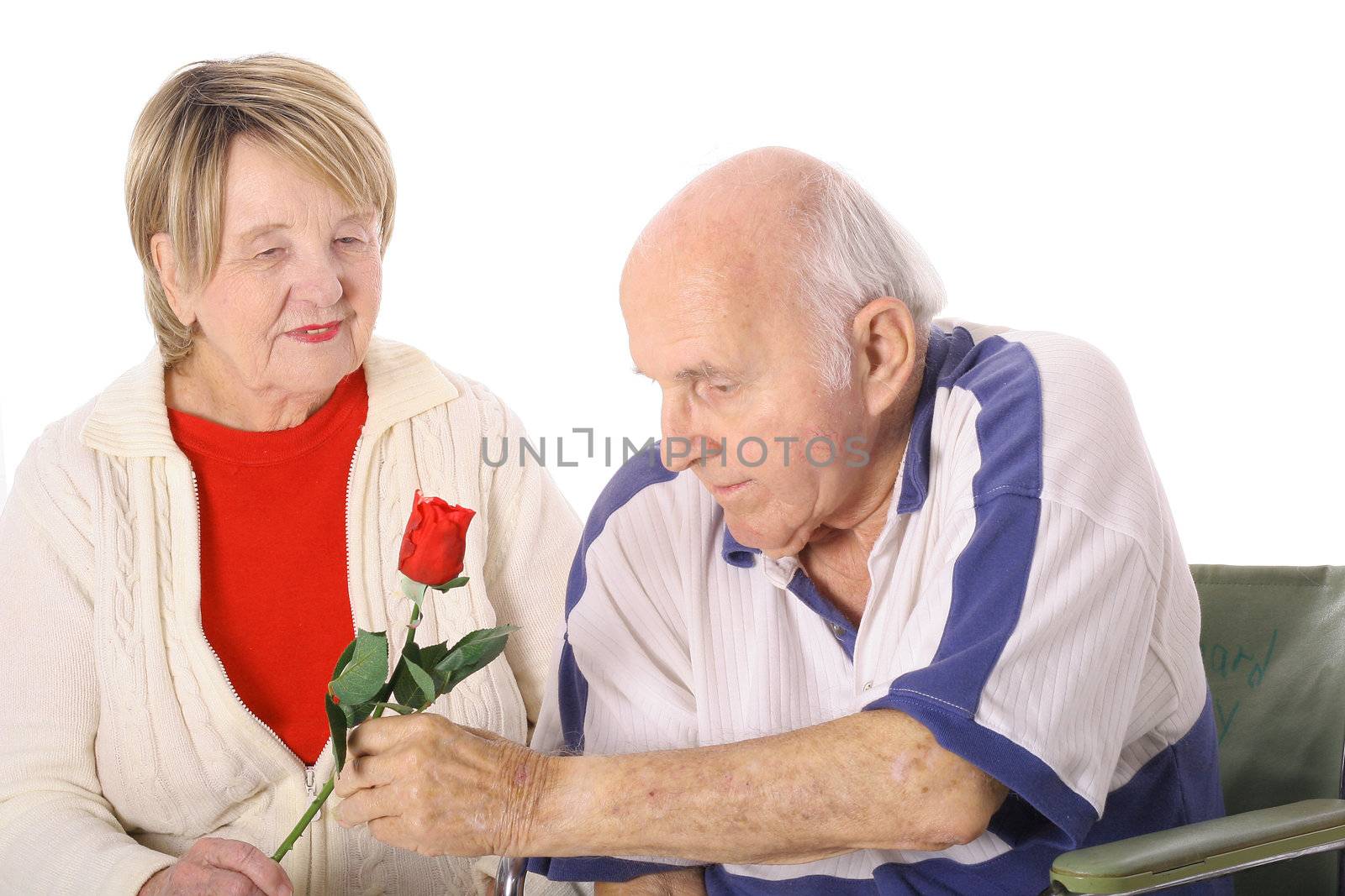 shot of a handicap senior giving wife a rose by creativestock