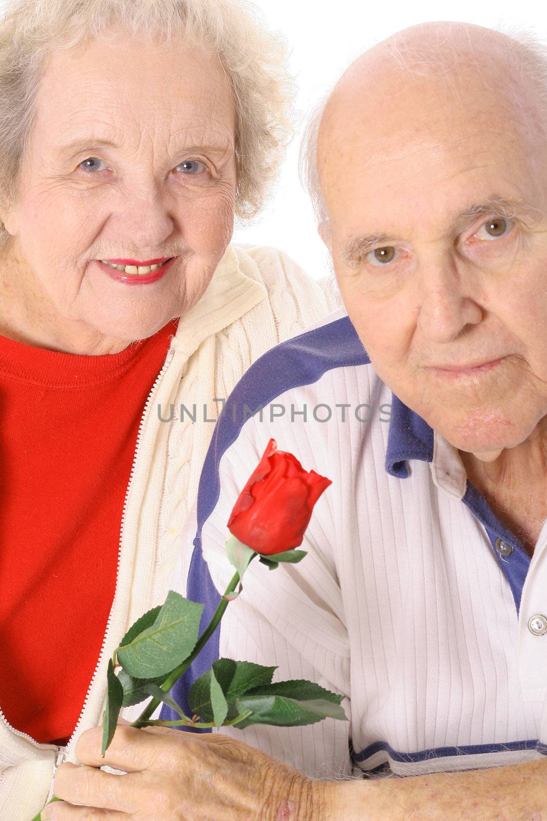shot of a Senior valentines portrait by creativestock