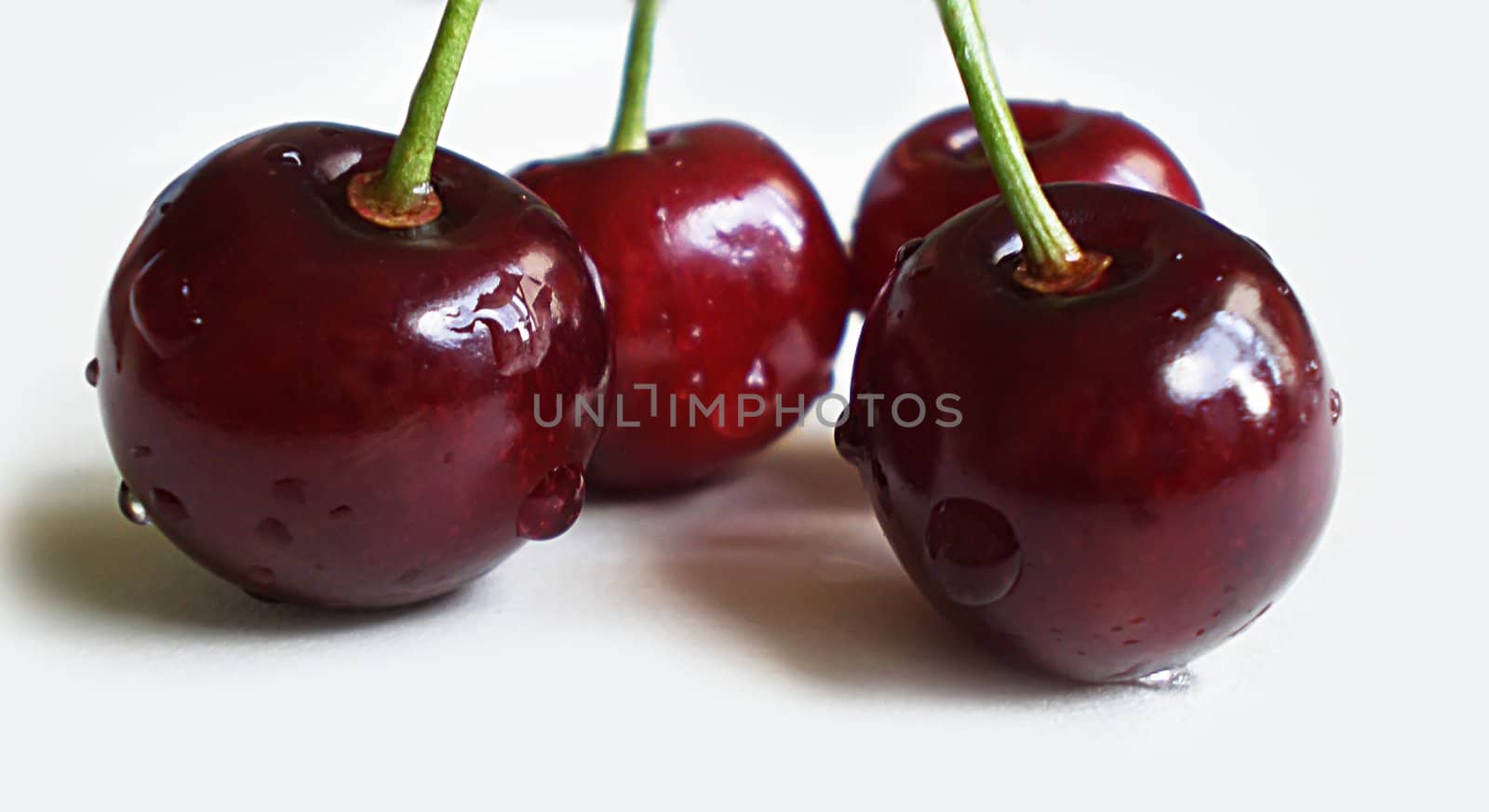 red cherries on white background