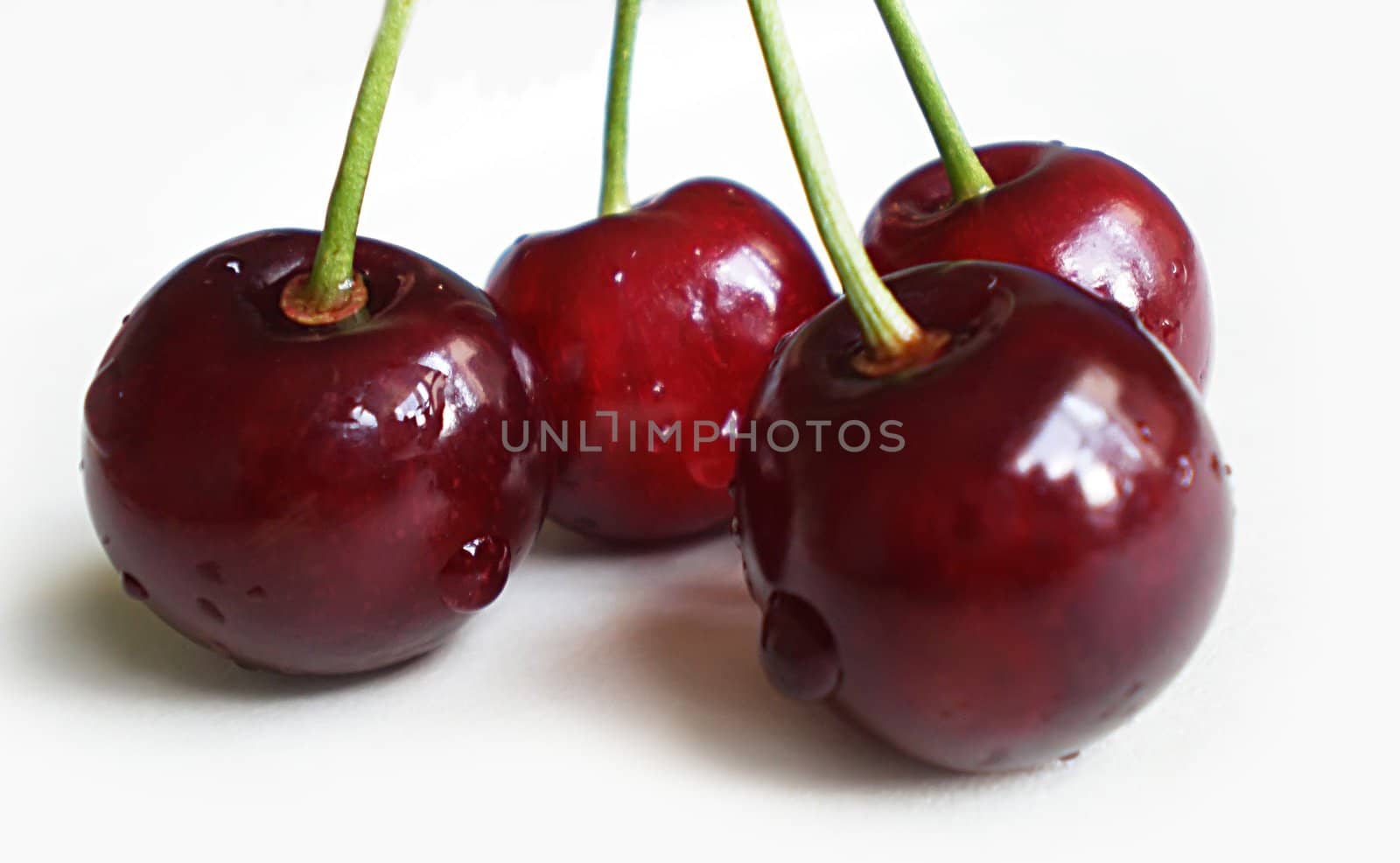 red cherries on white background