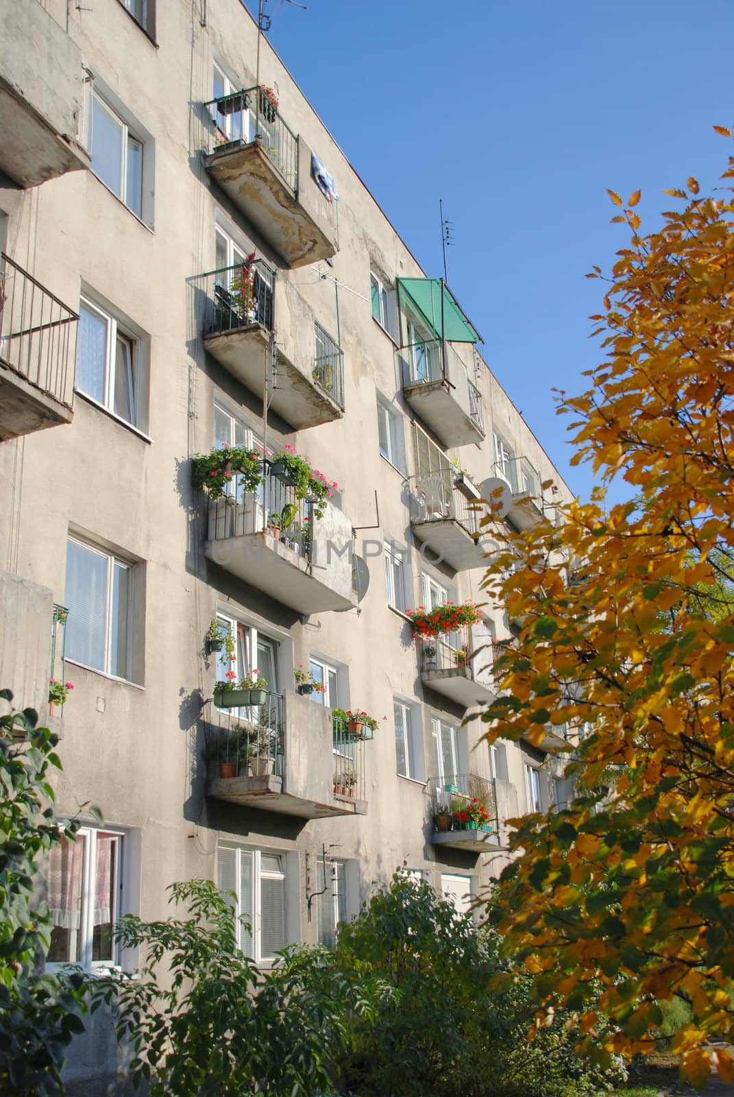 Old balconies in Wroclaw. Poland.