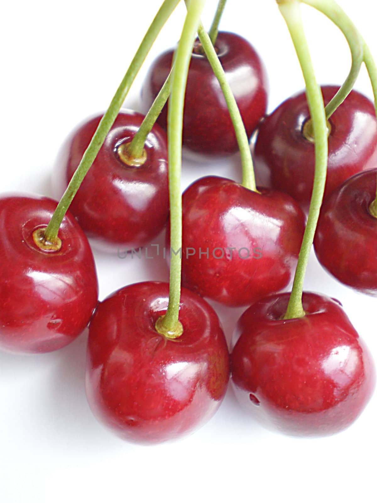 red cherries on white background