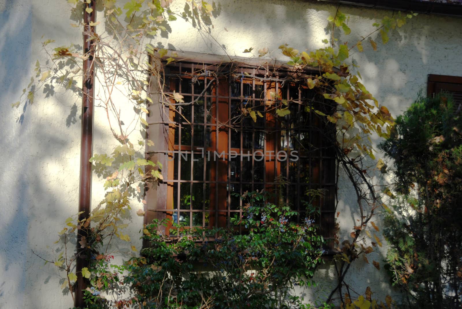 Old window. by wojciechkozlowski