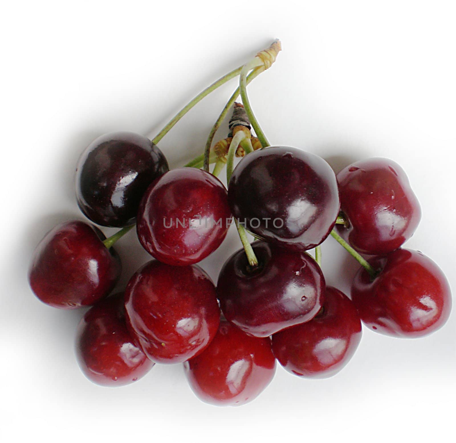 red cherries on white background